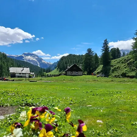 Bosco Lägenhet Baceno